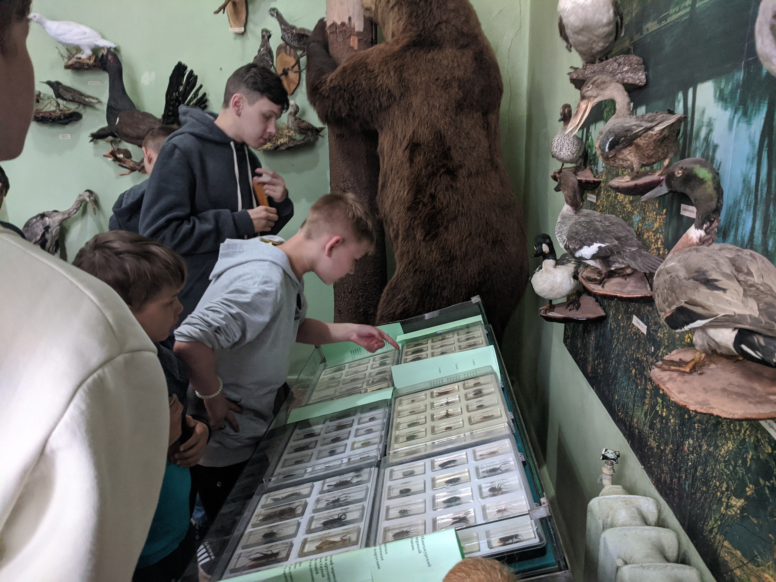 краеведческий музей в луганске